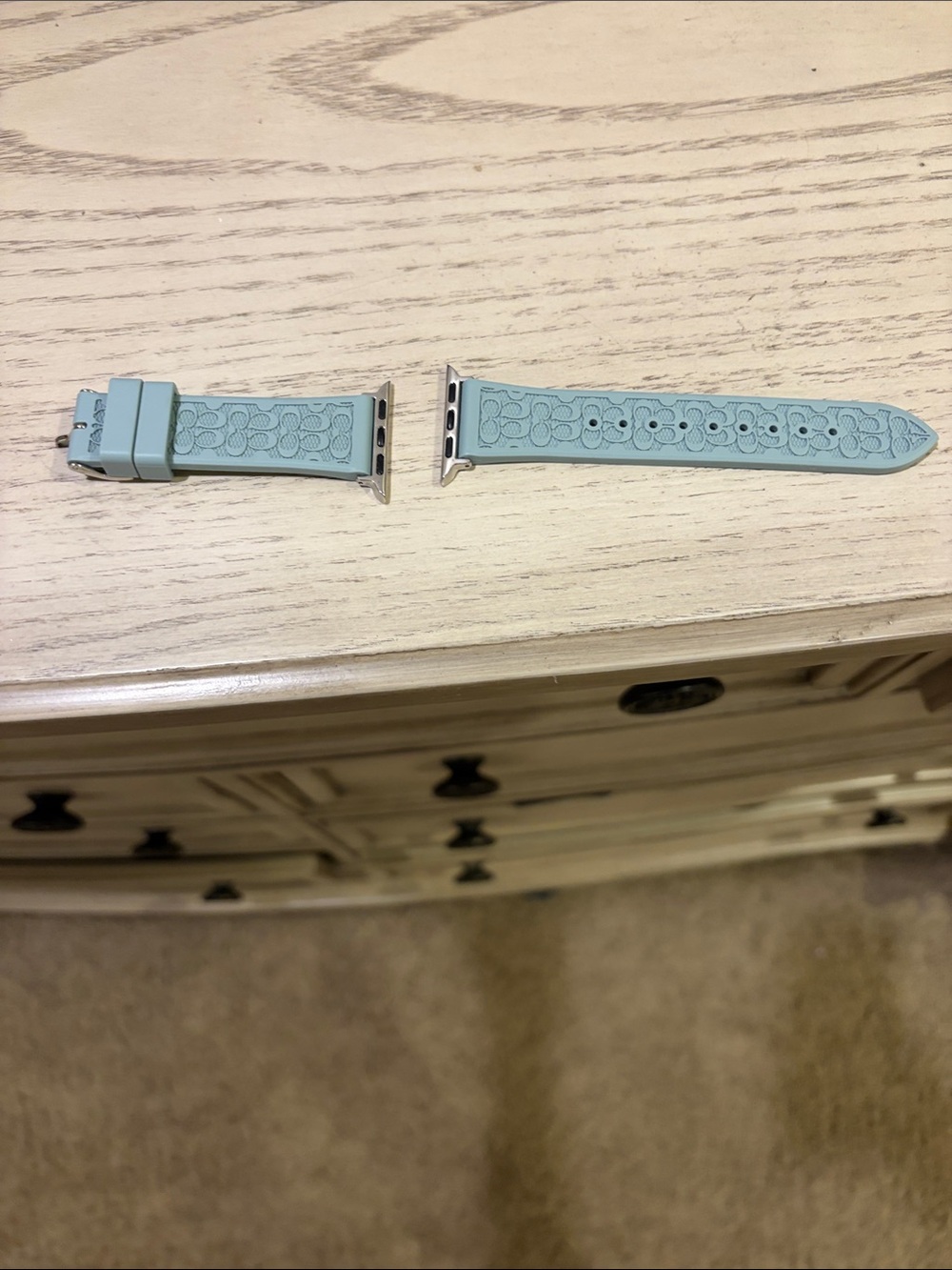 Coach Pale Mint Silicone Apple Watch Band